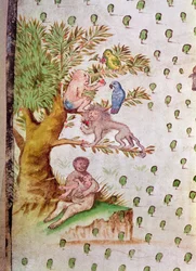 Karte des St. Lawrence Estuary, Detail von Papageien und Affen (Detail)
